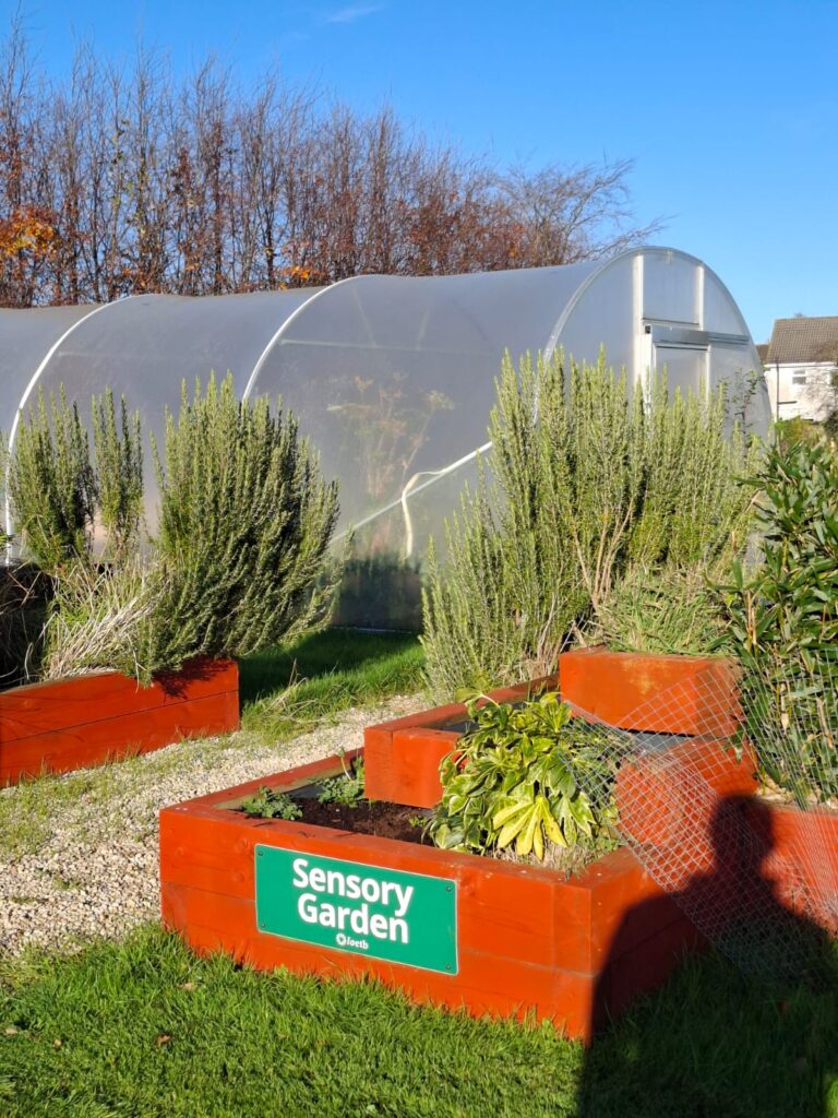 WhatsApp Image 2026-02-11 at 14.52.24